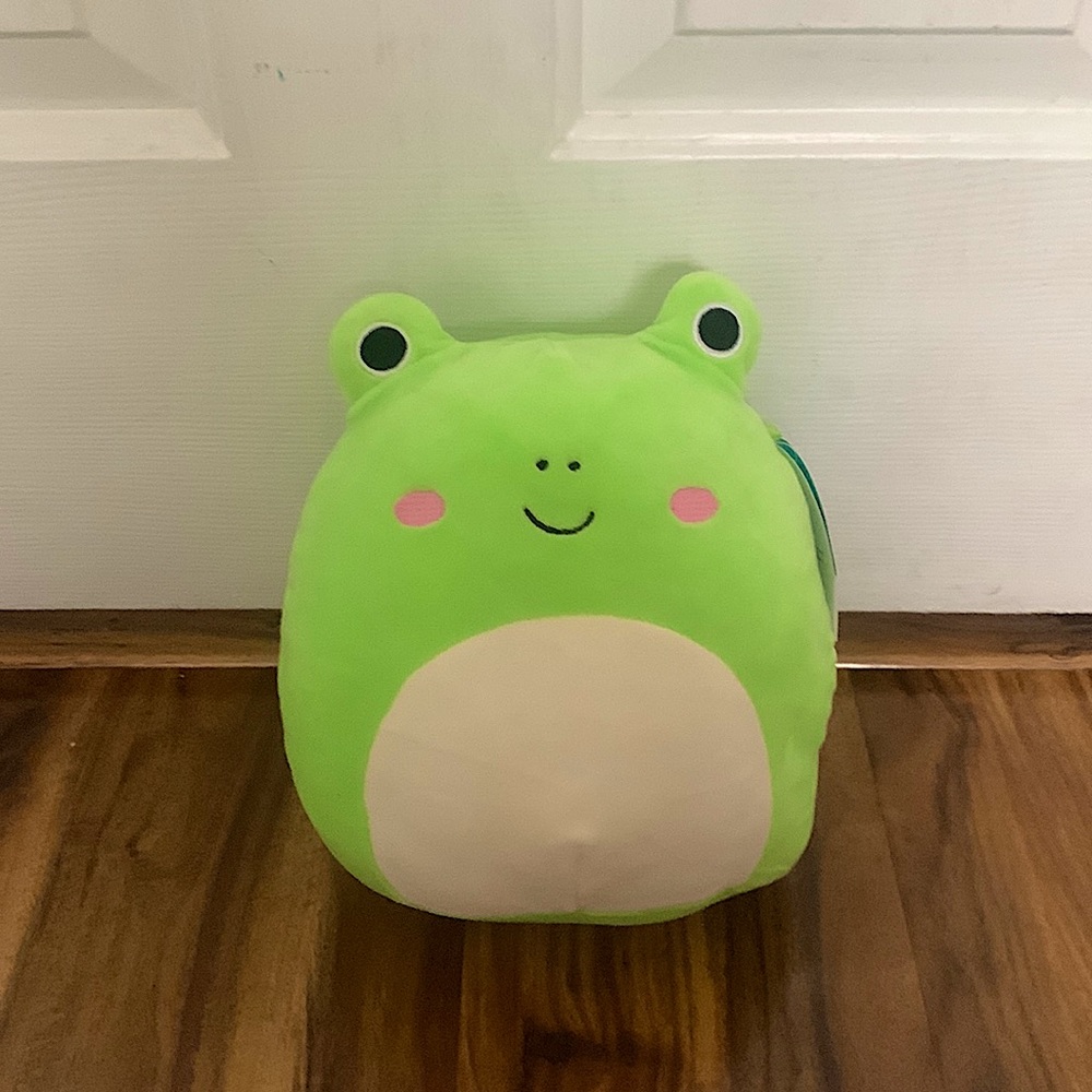 Wendy Frog squishmallow NWT
